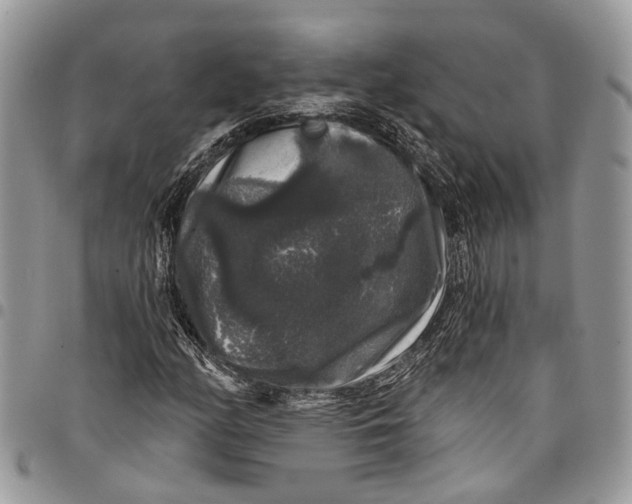 X0000097791158200803281717