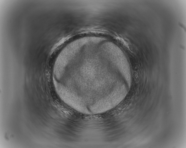 X0000097791159200803281717