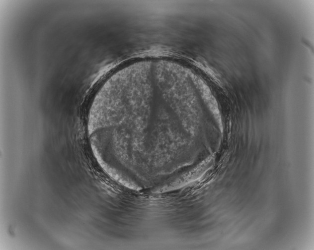 X0000097791160200803281717