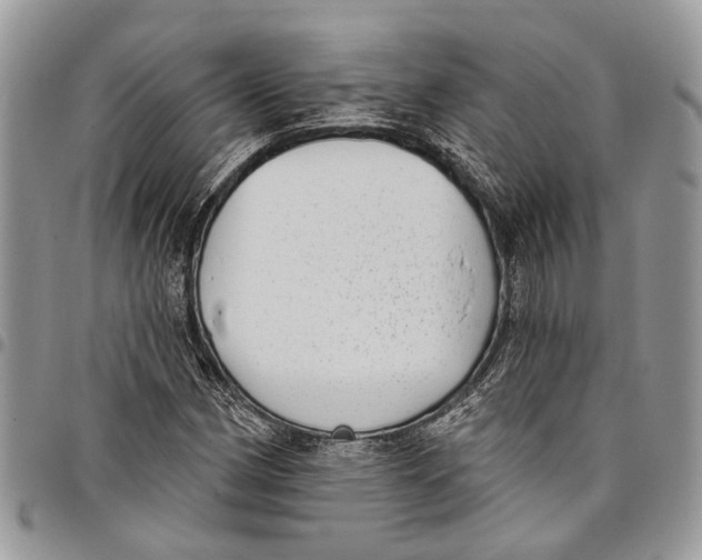 X0000097791162200803281717