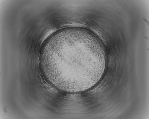 X0000097791163200803281717