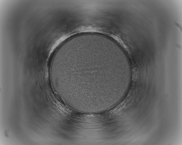 X0000097791167200803281717