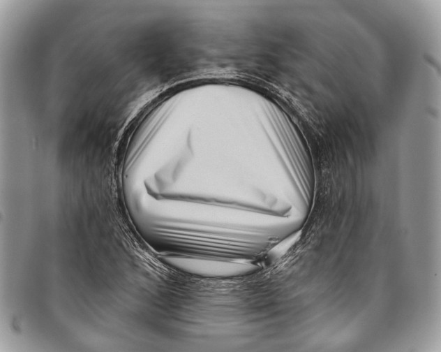 X0000097791168200803281717