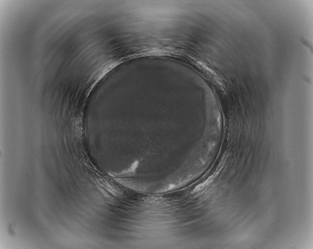 X0000097791170200803281717