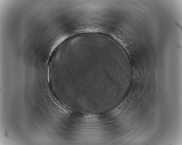 X0000097791171200803281717