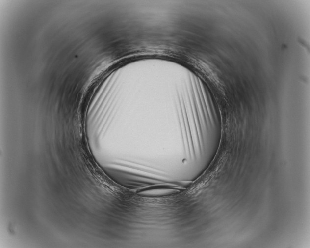 X0000097791172200803281717