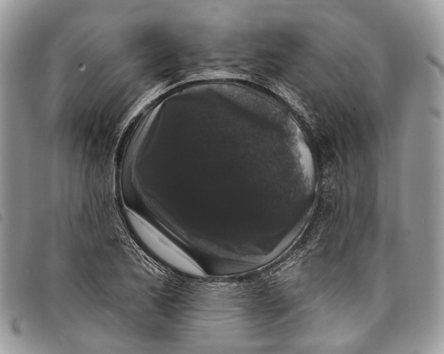 X0000097791173200803281717