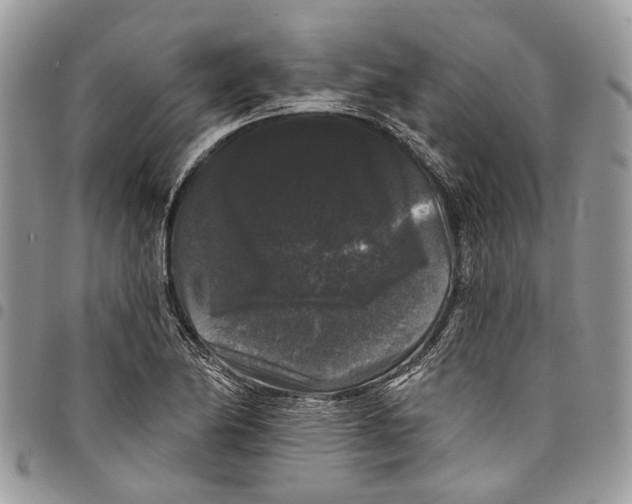 X0000097791174200803281717