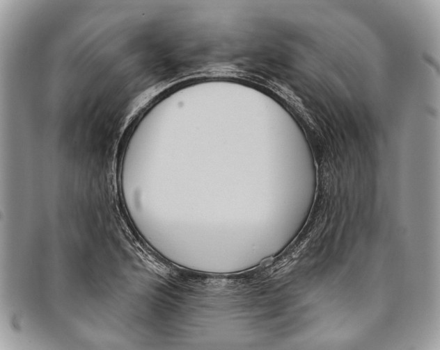 X0000097791176200803281717