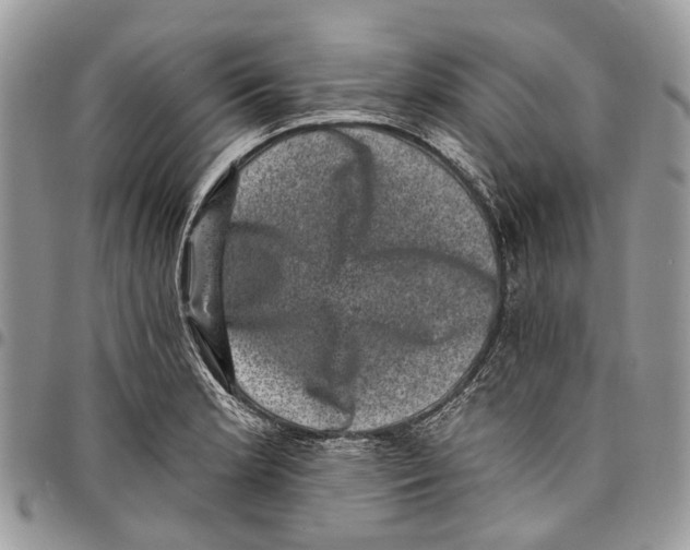 X0000097791181200803281717