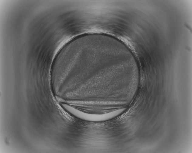 X0000097791183200803281717