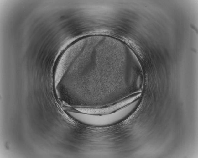 X0000097791184200803281717