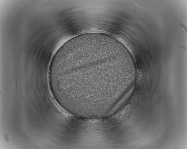 X0000097791187200803281717