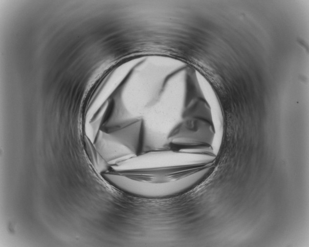 X0000097791188200803281717