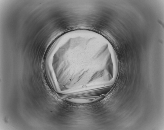 X0000097791190200803281717