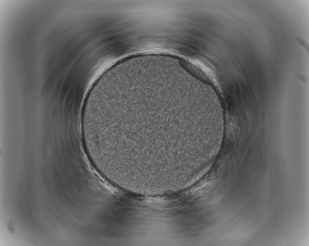 X0000097791191200803281716