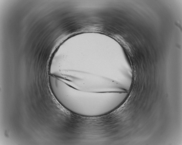 X0000097791192200803281716