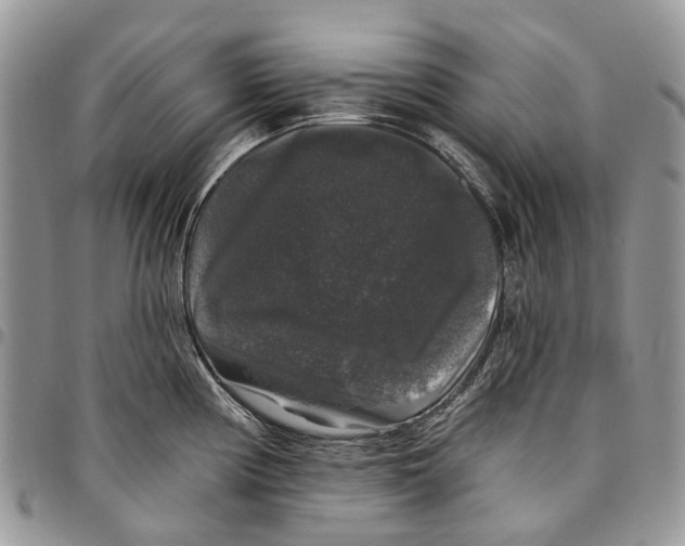 X0000097791194200803281716