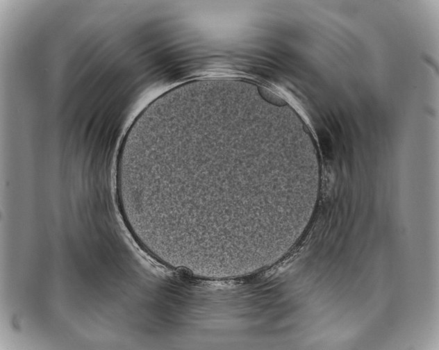 X0000097791195200803281716