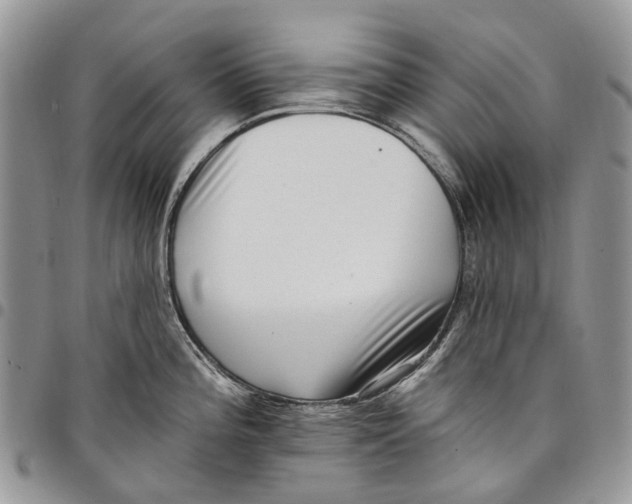 X0000097791196200803281716