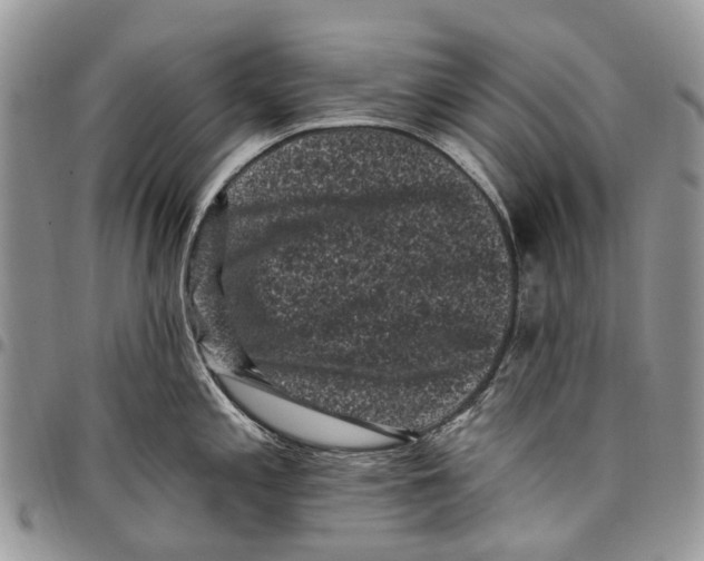 X0000097791197200803281716