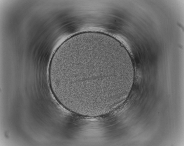 X0000097791199200803281716