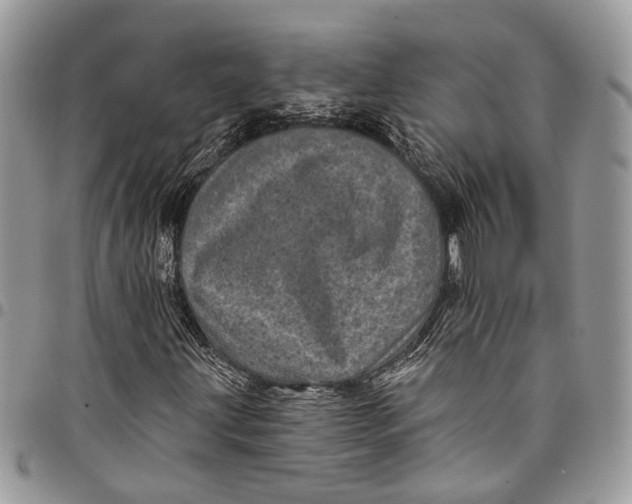 X0000097791203200803281716