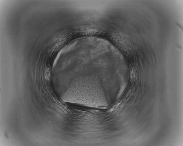 X0000097791204200803281716
