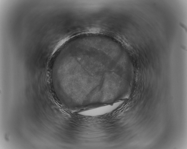 X0000097791208200803281716