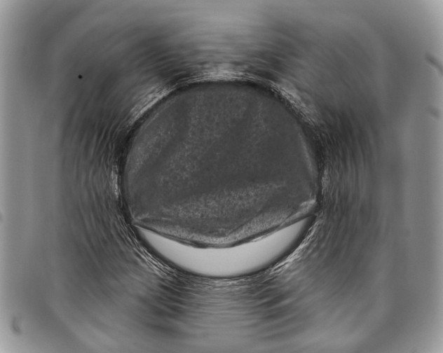 X0000097791209200803281716