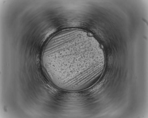 X0000097791210200803281716