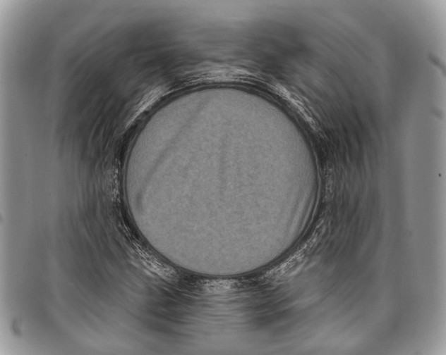 X0000097791211200803281716