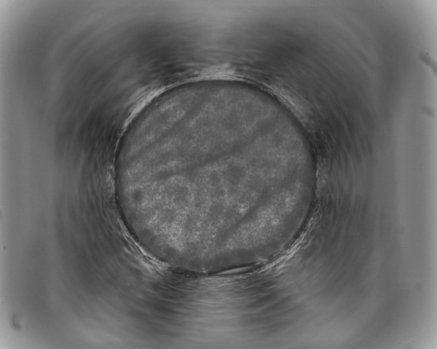 X0000097791212200803281716
