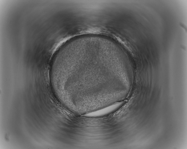 X0000097791214200803281716