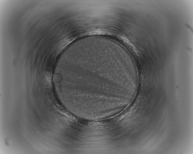 X0000097791217200803281716