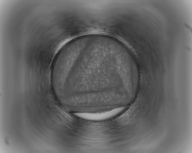 X0000097791222200803281716