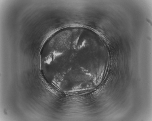 X0000097791223200803281716