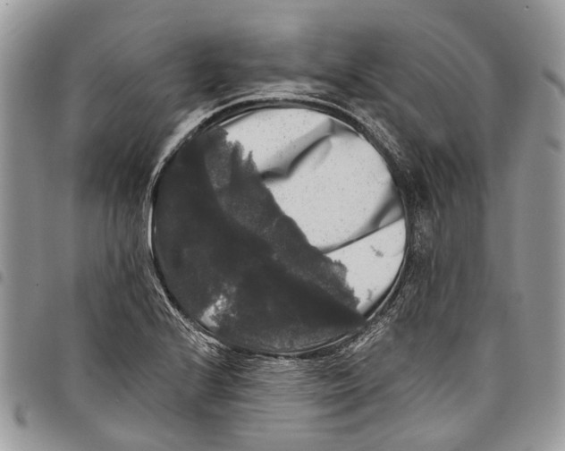 X0000097791224200803281716