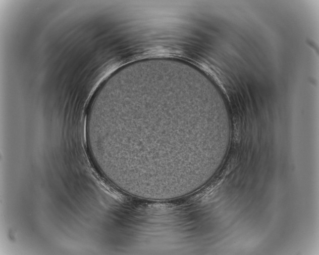 X0000097791227200803281716
