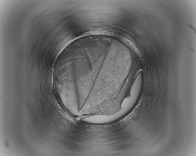 X0000097791228200803281716