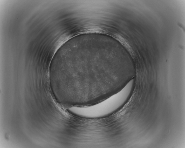 X0000097791234200803281716