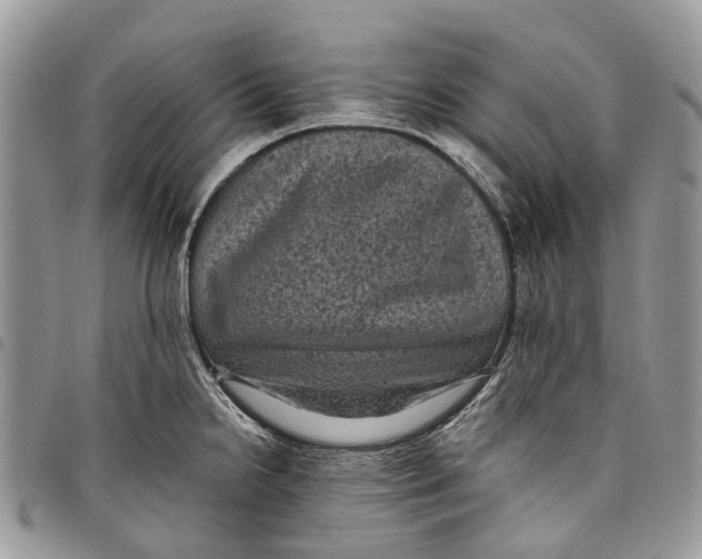 X0000097791238200803281716