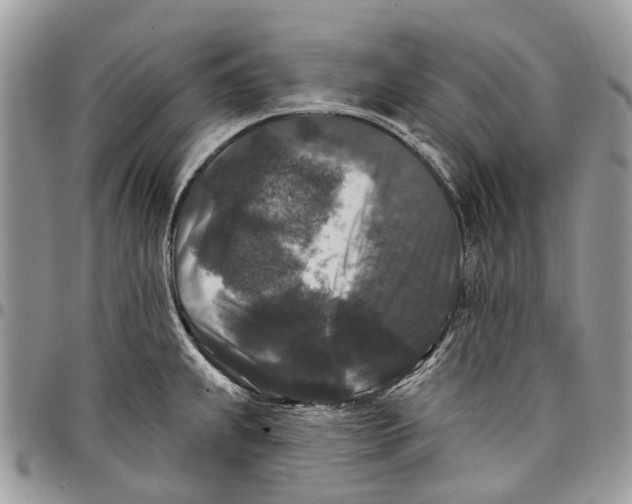 X0000097791239200803281716