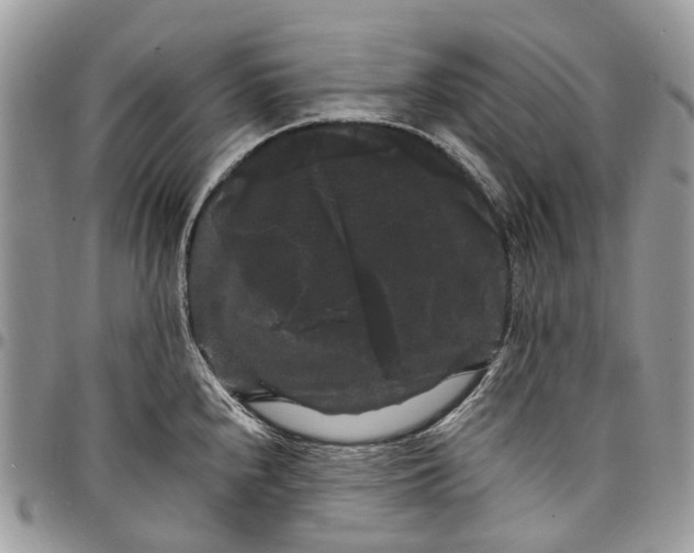 X0000097791240200803281716