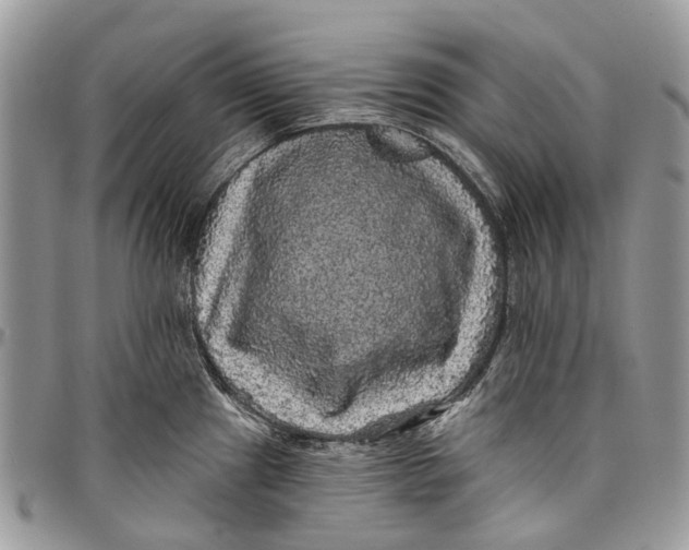 X0000097791241200803281716