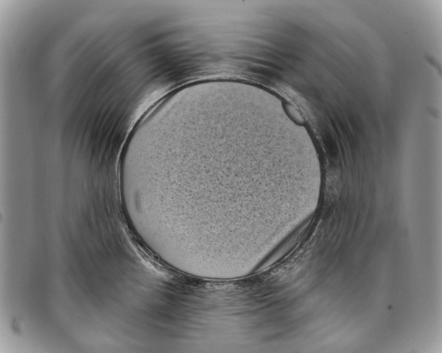 X0000097791242200803281716