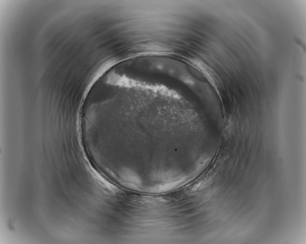 X0000097791243200803281716