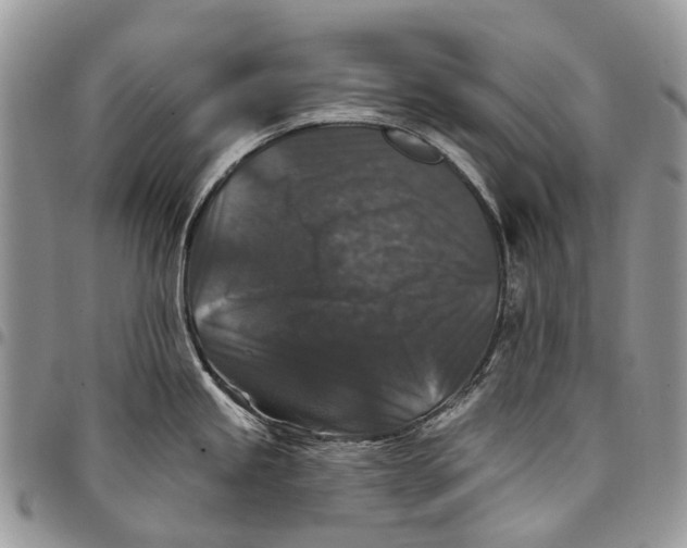 X0000097791245200803281716