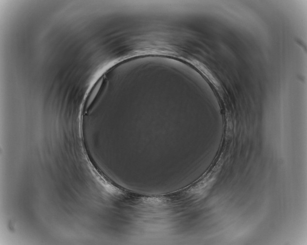 X0000097791246200803281716