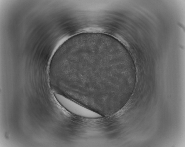 X0000097791248200803281716